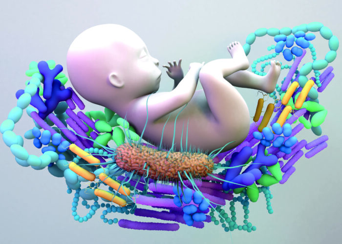 Microbiota intestinal del lactante y su papel en los trastornos gastrointestinales. Artículo de Revisión