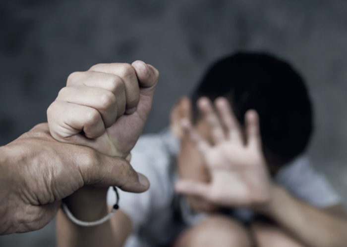 ¿Quién se ocupa y preocupa por los niños en México? Análisis de la desprotección infantil en el siglo XXI